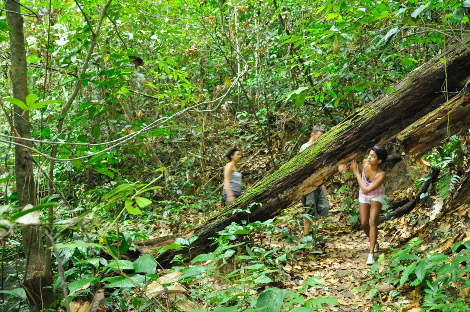 The Dusun Villa Seremban Buitenkant foto